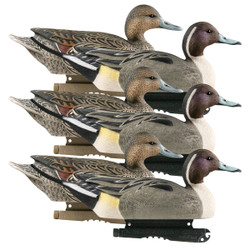 GHG Life Size Pintail Duck Decoys 6 Pack